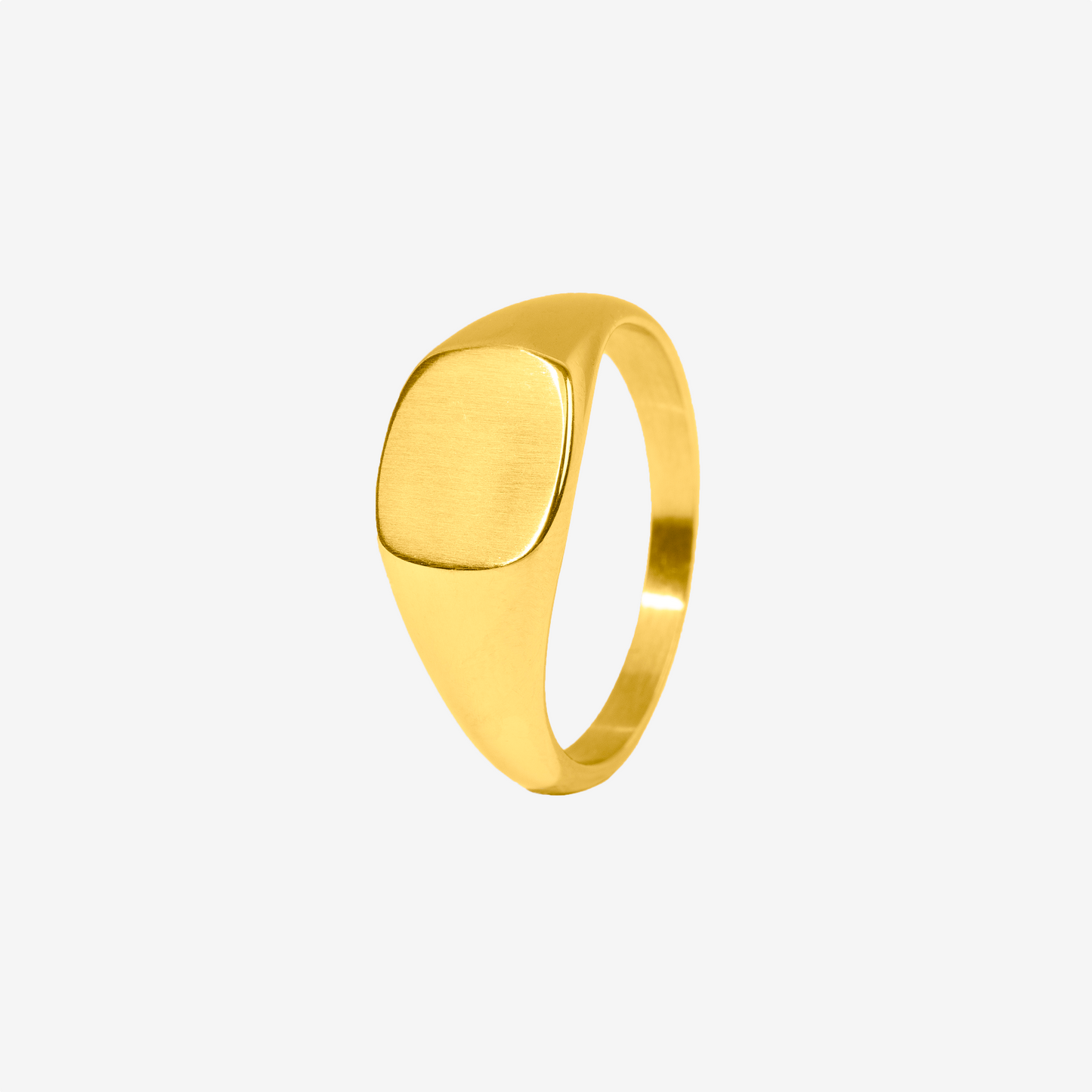 "ORBIS" SIGNET RING (18K GOLD)